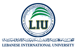 Lebanese International University